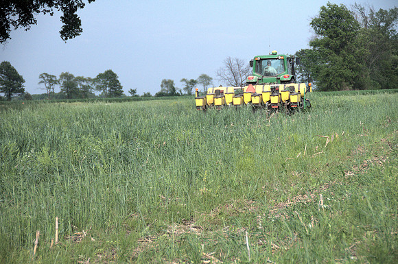 Planting into Cover crops