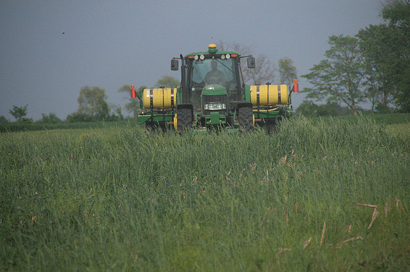 Planting into Cover crops