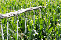 Air Seeder