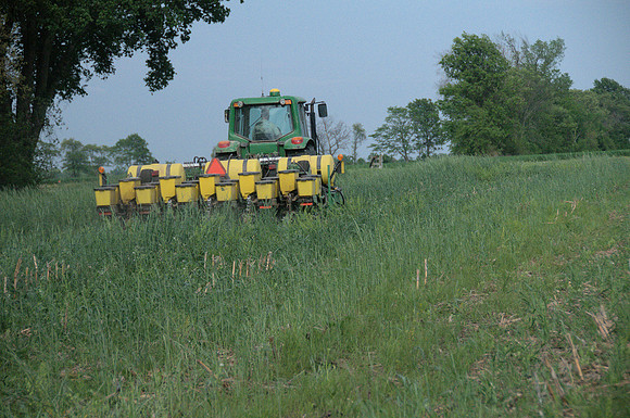 Planting into Cover crops