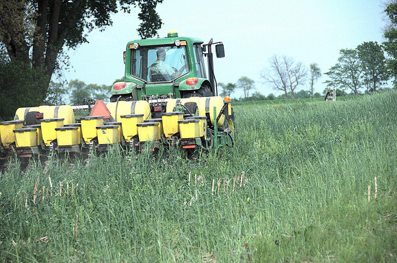 Planting into Cover crops