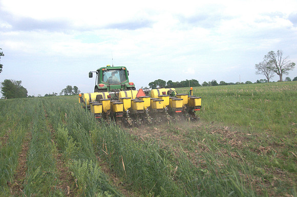 Planting into Cover crops