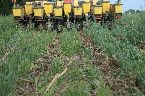 Planting into Cover crops